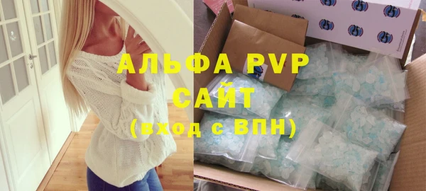 дживик Ельня