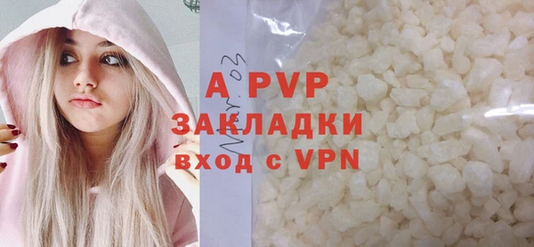 дживик Ельня