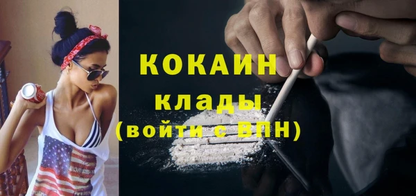 дживик Ельня