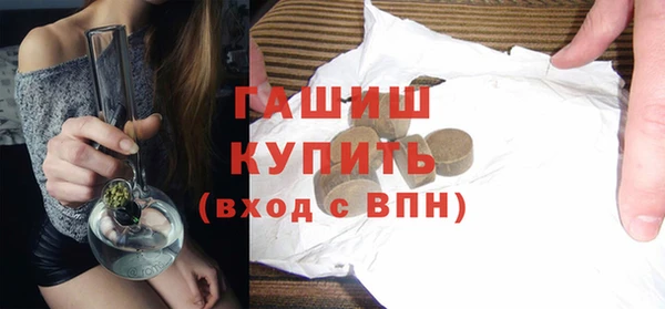 дживик Ельня