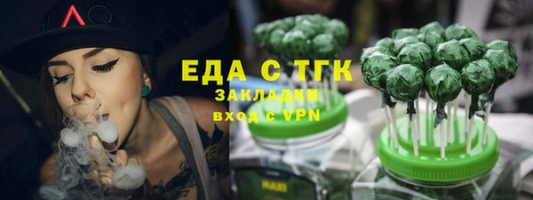 дживик Ельня