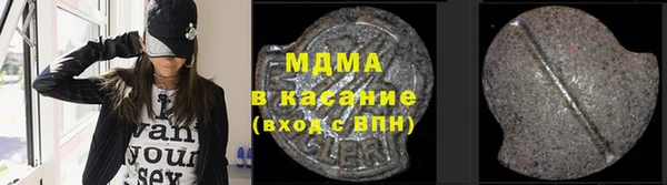 дживик Ельня