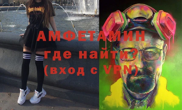 дживик Ельня