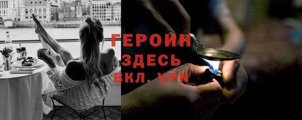 дживик Ельня