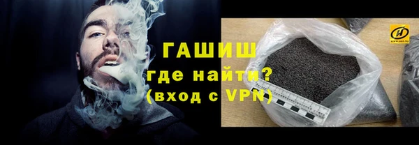 дживик Ельня