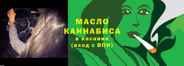 дживик Ельня