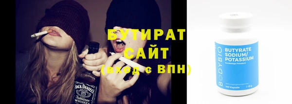 дживик Ельня