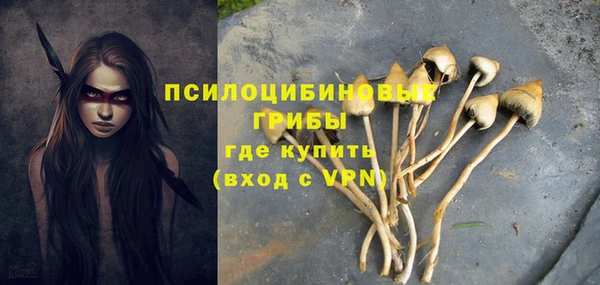 синтетический гашиш Елизово