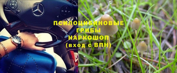 синтетический гашиш Елизово