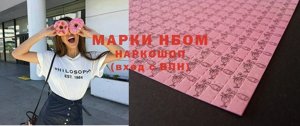 дживик Ельня