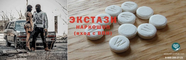 дживик Ельня