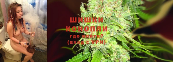 дживик Ельня