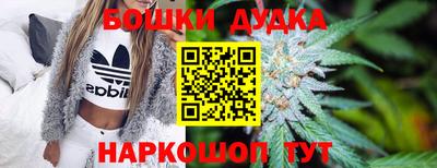 гидра Бузулук