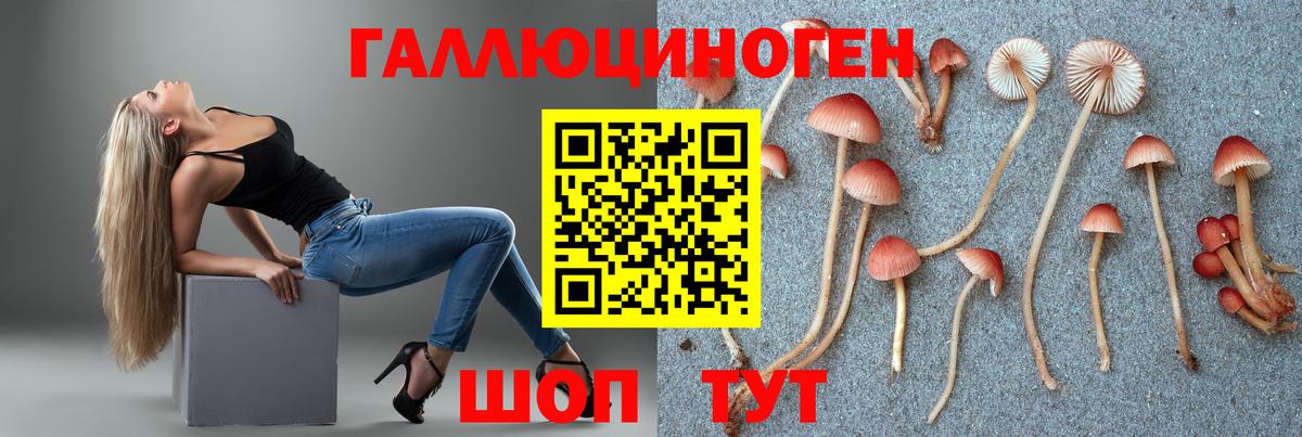 Галлюциногенные грибы Psilocybine cubensis  Вход с VPN  Екатеринбург 