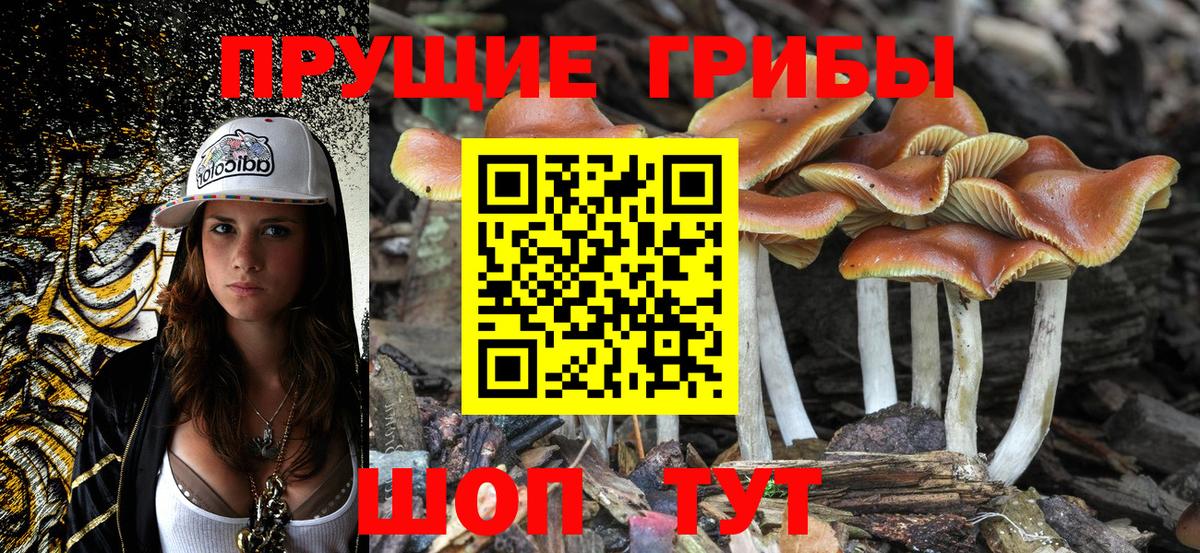 Галлюциногенные грибы прущие грибы Екатеринбург