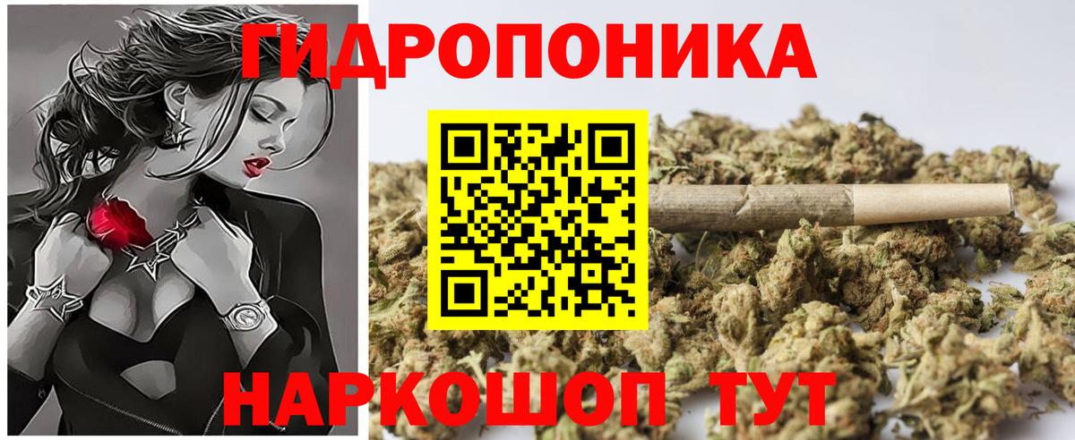 Бошки марихуана семена Екатеринбург